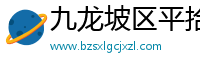 九龙坡区平拾